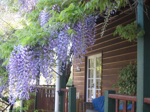 RoseMoore Bed & Breakfast - Darwin Tourism 11