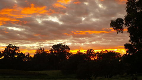 Windfall Estate Vineyard Cottage - Darwin Tourism 32