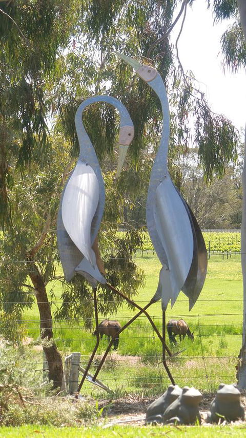 Windfall Estate Vineyard Cottage - Darwin Tourism 31