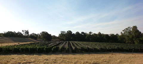 Windfall Estate Vineyard Cottage - Darwin Tourism 28