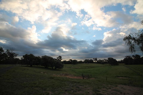 Windfall Estate Vineyard Cottage - Darwin Tourism 33