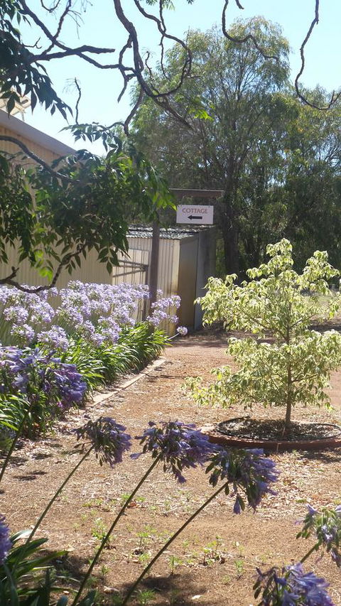 Windfall Estate Vineyard Cottage - Darwin Tourism 13