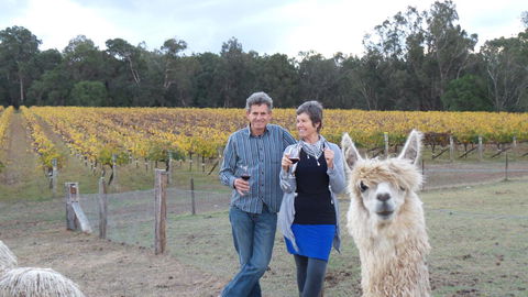 Windfall Estate Vineyard Cottage - Darwin Tourism 11