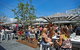 Garden Studio In Cottesloe - thumb 9