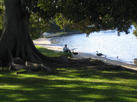 Garden Studio In Cottesloe - Darwin Tourism 11