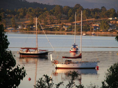 Driftwood - Darwin Tourism 12