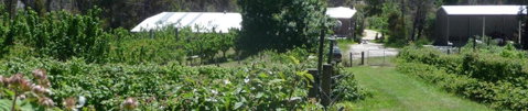 Eureka Farm - Darwin Tourism 25