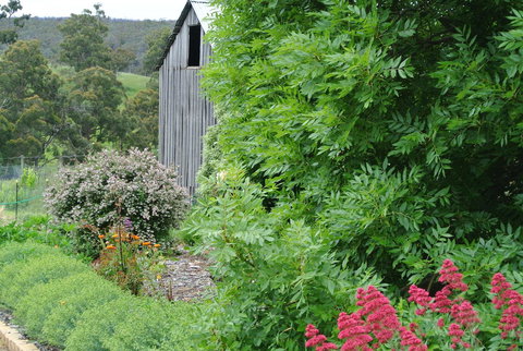 Hamlet Downs Country Accommodation - Darwin Tourism 19