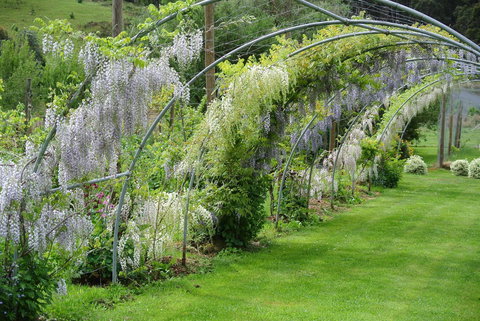 Hamlet Downs Country Accommodation - Darwin Tourism 17