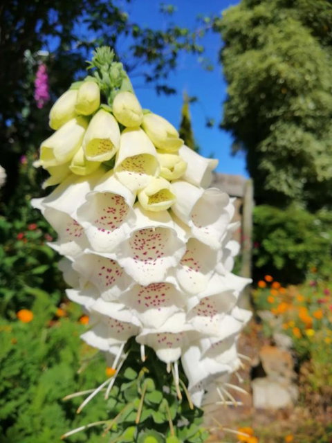 Hamlet Downs Country Accommodation - Darwin Tourism 9