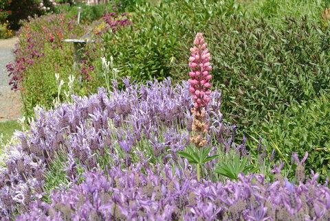 Hamlet Downs Country Accommodation - Darwin Tourism 22