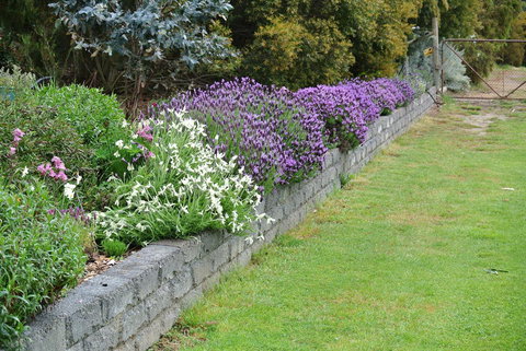 Hamlet Downs Country Accommodation - Darwin Tourism 14