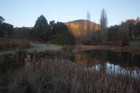 Hamlet Downs Country Accommodation - Darwin Tourism 25