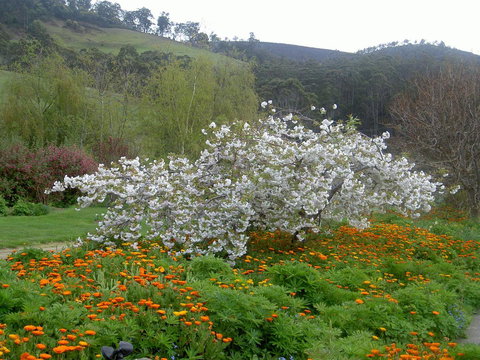 Hamlet Downs Country Accommodation - Darwin Tourism 13