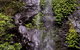 Nimbin Waterfall Retreat - thumb 3