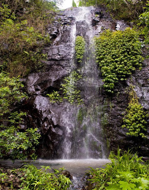 Nimbin Waterfall Retreat - Darwin Tourism 3