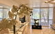 Noosa Luxury Apartment - thumb 2