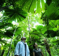 NRMA Cairns Holiday Park - Darwin Tourism
