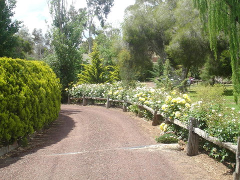 Olde Horsham Motor Inn - Darwin Tourism 1