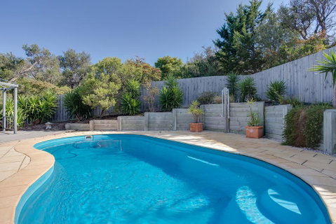 Paws Up Poolside - Darwin Tourism 1