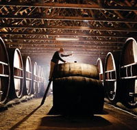 Pieter van Gent Winery  Vineyard - Darwin Tourism