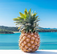 Pineapple House Whitsundays - Darwin Tourism