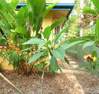 Rainforest Cottage Cairns - Darwin Tourism