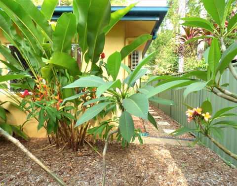 Rainforest Cottage Cairns - Darwin Tourism 0