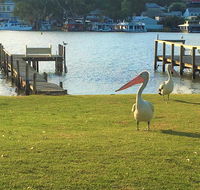 Riverfront Getaway - Mannum - Darwin Tourism
