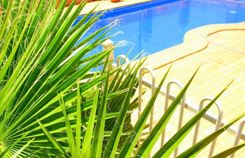 Roma Mid Town Motor Inn - Darwin Tourism 2