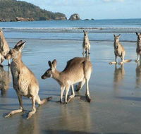 Seaforth Holiday Units - Darwin Tourism