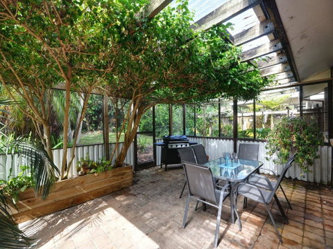 Shady Treez - Pet Friendly - Darwin Tourism 0