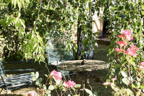 Silver Birch B&B - Darwin Tourism 3