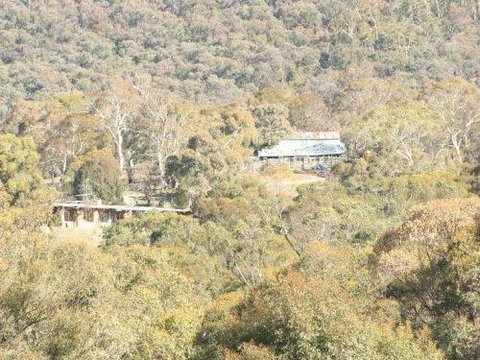 Snowy Wilderness - Darwin Tourism 1