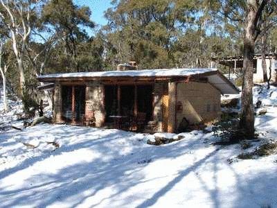 Snowy Wilderness - Darwin Tourism 0