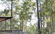 Southern Forest Escape Pemberton - thumb 1