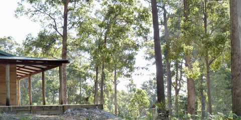 Southern Forest Escape Pemberton - Darwin Tourism 1