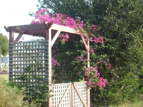 Southern Vales Bed & Breakfast - Darwin Tourism 3