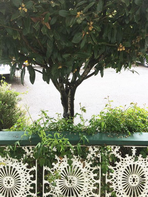 Strahan Wilderness Lodge - Darwin Tourism 3