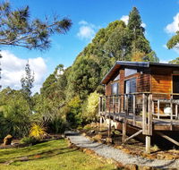 Southern Forest Accommodation - Darwin Tourism