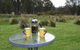 Highland Cabins And Cottages At Bronte Park - thumb 5