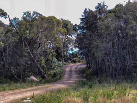 BAY OF FIRES ECO HUT Off Grid Experience At Binalong Bay - Darwin Tourism 12