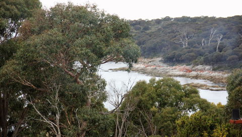 BAY OF FIRES SEACHANGE Ocean Frontage - Darwin Tourism 15