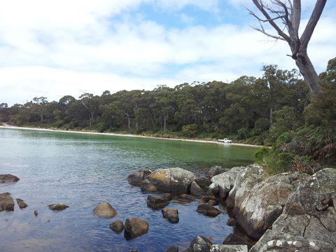 Mandala Bruny Island - Darwin Tourism 28
