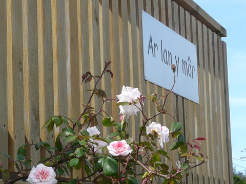 Ar Lan Y Mor - Darwin Tourism 12