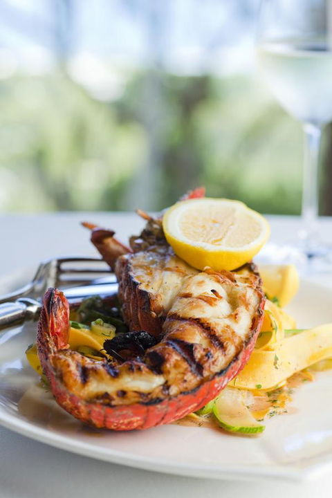 Chris\'s Beacon Point Restaurant & Villas - Darwin Tourism 8