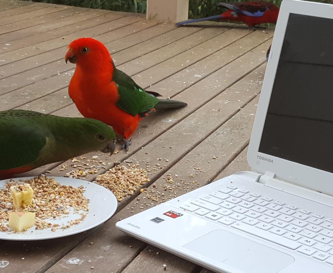  Darwin Tourism
