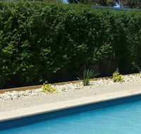 Robinvale Bridge Motel - Darwin Tourism