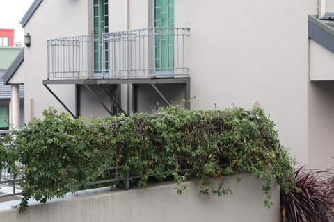 Quality Inn & Suites The Menzies - Darwin Tourism 23