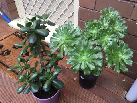 Doncaster Westfield Home Stay - Darwin Tourism 23